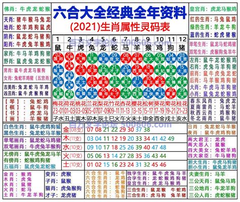 2024年属|2024年生肖表完整版图 2024年生肖表完整版图片